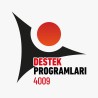 Testo